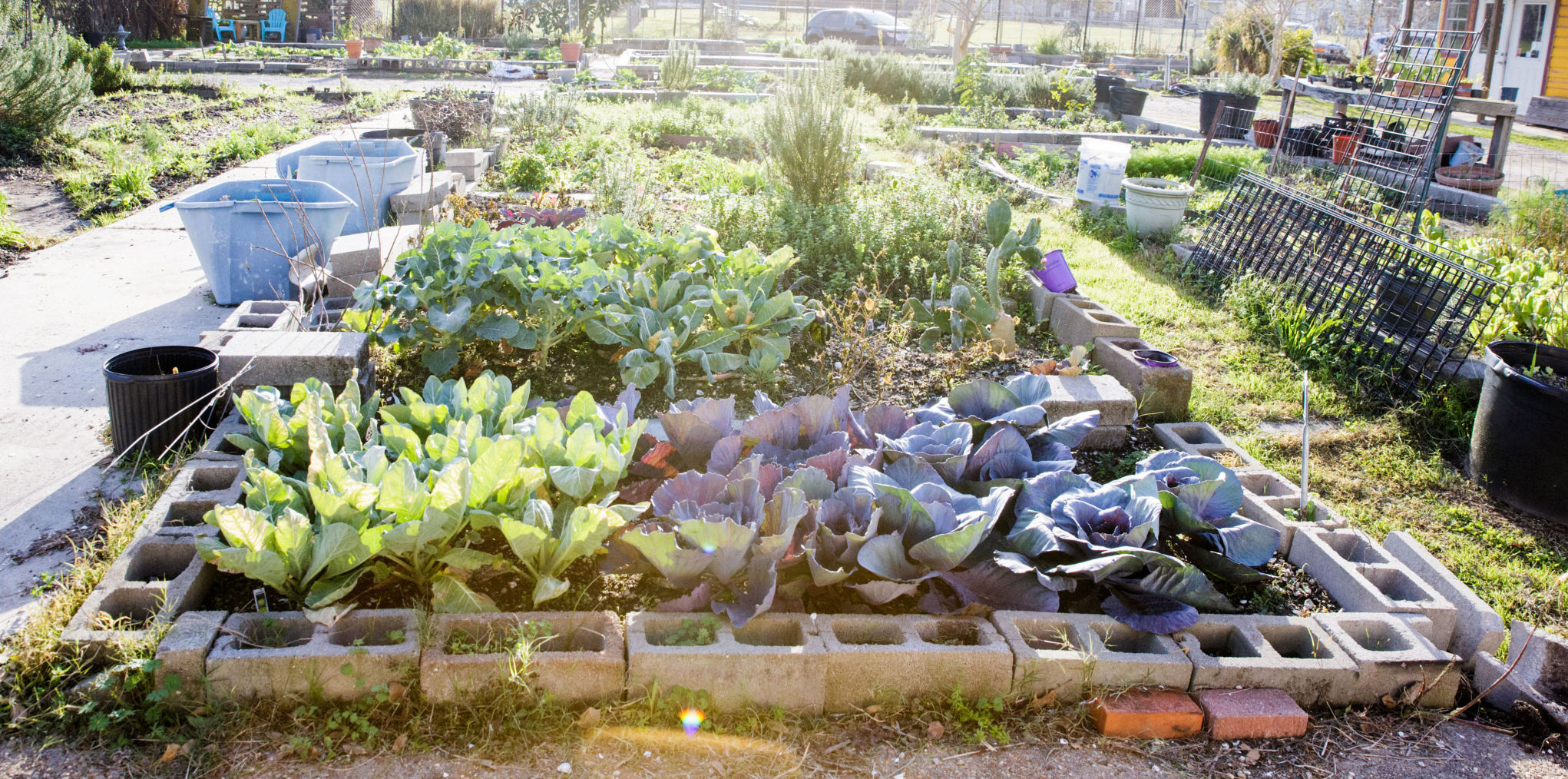 NO.gardens.epl.011417_07.JPG